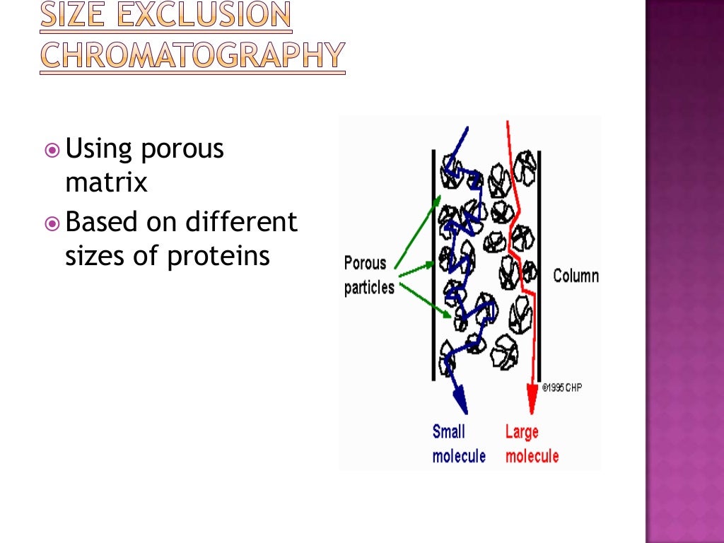 Techniques for protein purification