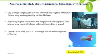 Insect Migration Raida Techniques for studying insect migration | PDF