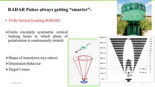 Insect Migration Raida Techniques for studying insect migration | PDF