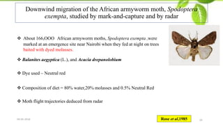 Wind Migration Insect Techniques for studying insect migration | PDF