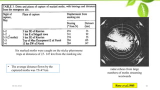 Insect Migration Raida Techniques for studying insect migration | PDF