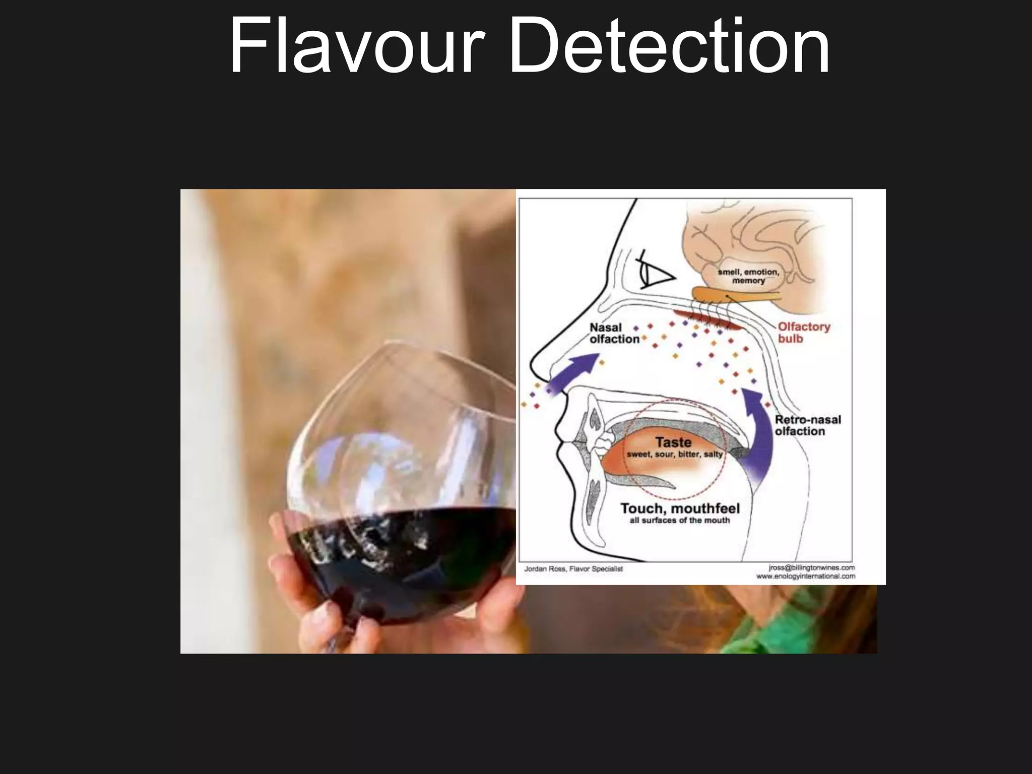 Flavour Detection
 