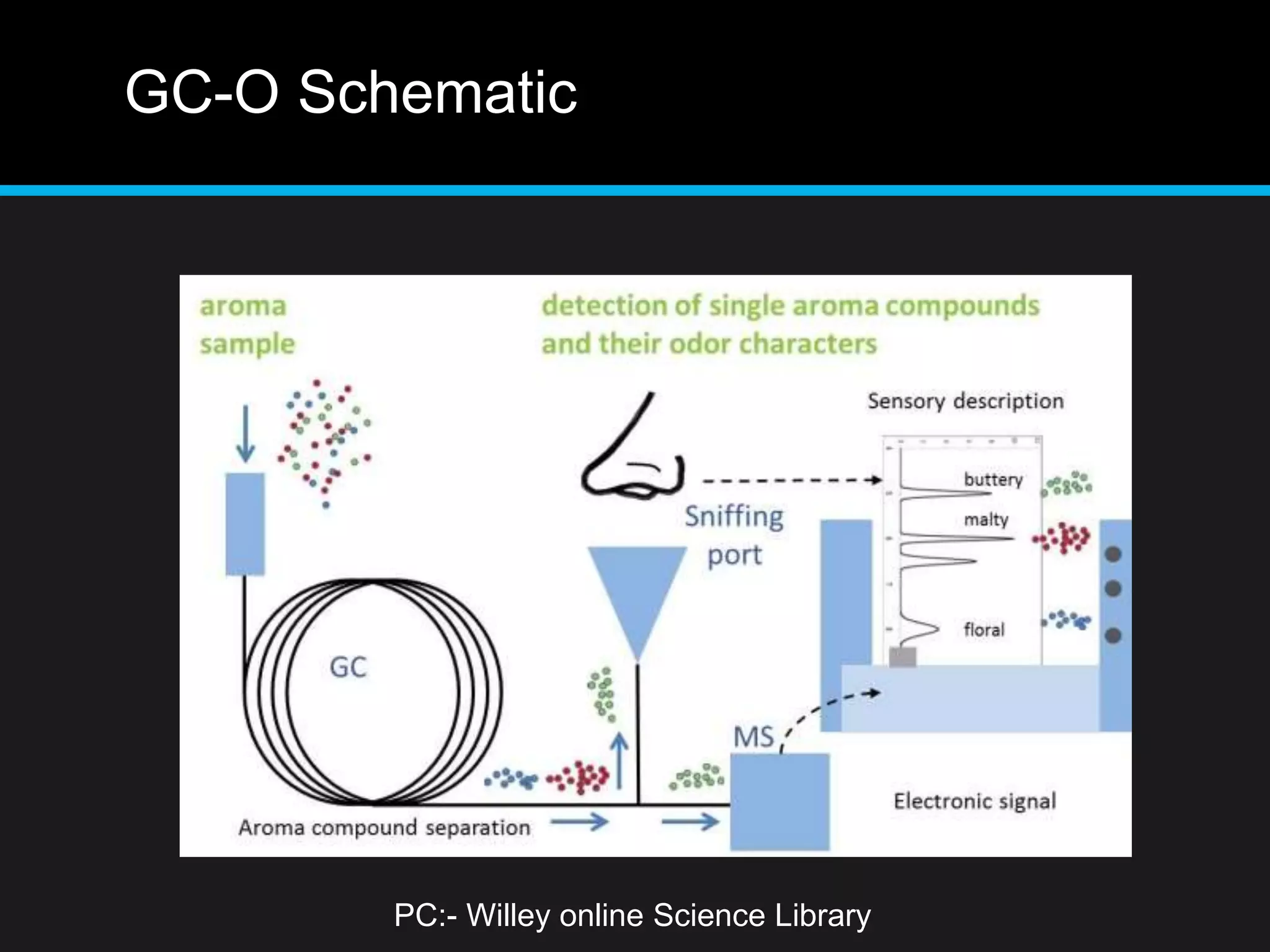 GC-O Schematic
PC:- Willey online Science Library
 