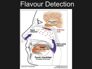 Flavour Detection
 