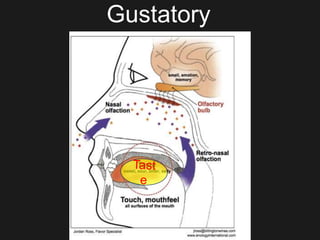 Gustatory
 