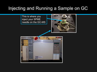Injecting and Running a Sample on GC
This is where you
inject your SPME
needle on the GC-MS
 