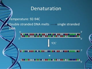Techniques in genetic engineering