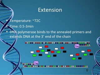 Techniques in genetic engineering