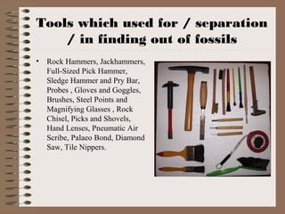Paleontologist Tools