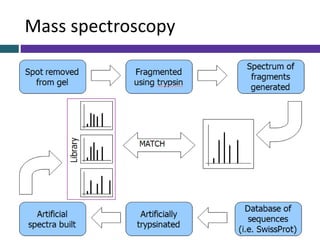 Mass spectroscopy
 