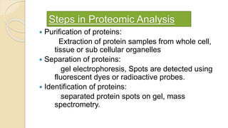 Steps in Proteomic Analysis
 Purification of proteins:
Extraction of protein samples from whole cell,
tissue or sub cellular organelles
 Separation of proteins:
gel electrophoresis, Spots are detected using
fluorescent dyes or radioactive probes.
 Identification of proteins:
separated protein spots on gel, mass
spectrometry.
 