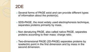 2DE
 Several forms of PAGE exist and can provide different types
of information about the protein(s).
 SDS-PAGE, the most widely used electrophoresis technique,
separates proteins primarily by mass.
 Non denaturing PAGE, also called native PAGE, separates
proteins according to their mass: charge ratio.
 Two-dimensional PAGE (2D-PAGE) separates proteins by
isoelectric point in the first dimension and by mass in the
second dimension.
 