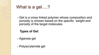 What is a gel….?
Gel is a cross linked polymer whose composition and
porosity is chosen based on the specific weight and
porosity of the target molecules.
Types of Gel:
Agarose gel
Polyacrylamide gel
 