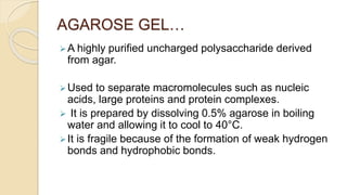 AGAROSE GEL…
A highly purified uncharged polysaccharide derived
from agar.
Used to separate macromolecules such as nucleic
acids, large proteins and protein complexes.
 It is prepared by dissolving 0.5% agarose in boiling
water and allowing it to cool to 40°C.
It is fragile because of the formation of weak hydrogen
bonds and hydrophobic bonds.
 