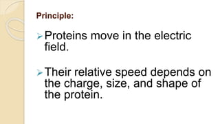 Principle:
Proteins move in the electric
field.
Their relative speed depends on
the charge, size, and shape of
the protein.
 