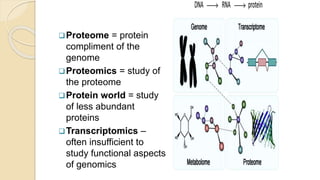 Proteome = protein
compliment of the
genome
Proteomics = study of
the proteome
Protein world = study
of less abundant
proteins
Transcriptomics –
often insufficient to
study functional aspects
of genomics
 