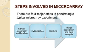 STEPS INVOLVED IN MICCROARRAY
Sample
preparation
and labeling
Hybridization Washing
Image
acquisition
and Data
analysis
There are four major steps in performing a
typical microarray experiment.
 