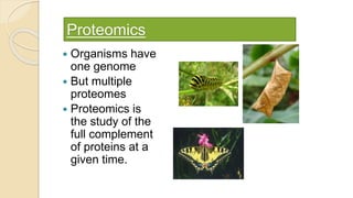 Proteomics
 Organisms have
one genome
 But multiple
proteomes
 Proteomics is
the study of the
full complement
of proteins at a
given time.
 