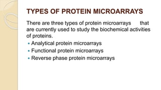 TYPES OF PROTEIN MICROARRAYS
There are three types of protein microarrays that
are currently used to study the biochemical activities
of proteins.
 Analytical protein microarrays
 Functional protein microarrays
 Reverse phase protein microarrays
 