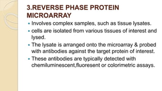 3.REVERSE PHASE PROTEIN
MICROARRAY
 Involves complex samples, such as tissue lysates.
 cells are isolated from various tissues of interest and
lysed.
 The lysate is arranged onto the microarray & probed
with antibodies against the target protein of interest.
 These antibodies are typically detected with
chemiluminescent,fluoresent or colorimetric assays.
 