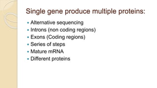 Single gene produce multiple proteins:
 Alternative sequencing
 Introns (non coding regions)
 Exons (Coding regions)
 Series of steps
 Mature mRNA
 Different proteins
 