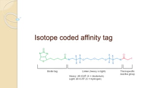 Isotope coded affinity tag
 