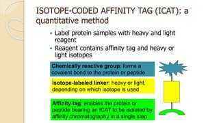 ISOTOPE-CODED AFFINITY TAG (ICAT): a
quantitative method
 Label protein samples with heavy and light
reagent
 Reagent contains affinity tag and heavy or
light isotopes
Chemically reactive group: forms a
covalent bond to the protein or peptide
Isotope-labeled linker: heavy or light,
depending on which isotope is used
Affinity tag: enables the protein or
peptide bearing an ICAT to be isolated by
affinity chromatography in a single step
 