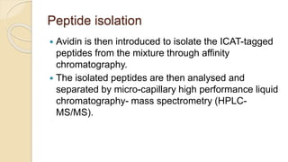 Peptide isolation
 Avidin is then introduced to isolate the ICAT-tagged
peptides from the mixture through affinity
chromatography.
 The isolated peptides are then analysed and
separated by micro-capillary high performance liquid
chromatography- mass spectrometry (HPLC-
MS/MS).
 