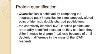 Protein quantification
 Quantification is achieved by comparing the
integrated peak intensities for simultaneously eluted
pairs of identical, doubly charged peptide ions.
 the chemically identical ICAT-labelled peptide ions
are readily identified because as they co-elute, they
differ in mass-to-charge (m/z) ratio because of an 8
deuterium difference in the mass of the ICAT-
reagents.
 