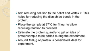  Add reducing solution to the pellet and vortex it. This
helps for reducing the disulphide bonds in the
protein.
 Place the sample at 37°C for 1hour to allow
reducing reaction to proceed.
 Estimate the protein quantity to get an idea of
proteinsample to be added during the experiment.
 Around 150μg of protein is considered ideal for
experiment.
 