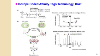 79
 Isotope Coded Affinity Tags Technology, ICAT
 