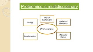 Proteomics is multidisciplinary
Proteomics
Molecular
Biology
Biology
Analytical
Chemistry
Protein
Biochemistry
Bioinformatics
 