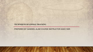 Techniques of animal tracking | PPTX