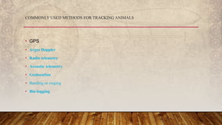 • GPS
• Argos Doppler
• Radio telemetry
• Acoustic telemetry
• Geolocation
• Banding or ringing
• Bio-logging
COMMONLY USED METHODS FOR TRACKING ANIMALS
 
