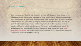 • Radio transmitters are electronic tags that emit a very high radio frequency signal that can be used
to locate the animal. The researcher must track the signal using a receiver and directional antennae,
which must typically be within a few kilometers or less of the animal to detect the signal. The signal
can be tracked by foot, car or plane, or using one or more stationary receiver arrays. The tags are
relatively lightweight, inexpensive and can have long battery lives. However, it can be labor-
intensive to follow the animals with the receiver. This method can be used on small animals for
populations that stay within a geographically restricted area. Some groups, such as the Motus
Wildlife Tracking System, run networks of receiver stations that can track long-distance movements
of animals too small to hold a PTT or GPS tag.
RADIO TELEMETRY
 