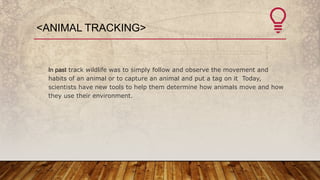 <ANIMAL TRACKING>
In past track wildlife was to simply follow and observe the movement and
habits of an animal or to capture an animal and put a tag on it Today,
scientists have new tools to help them determine how animals move and how
they use their environment.
 