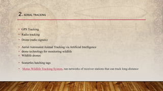 • GPS Tracking
• Radio tracking
• Drone (radio signals)
• Aerial Automated Animal Tracking via Artificial Intelligence
• drone technology for monitoring wildlife
• Wildlife drones
• Seaturtles hatching tags
• Motus Wildlife Tracking System, run networks of receiver stations that can track long-distance
2.AERIAL TRACKING
 