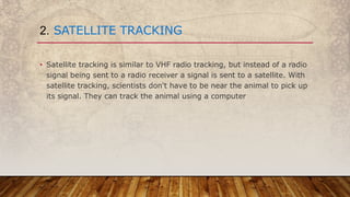 • Satellite tracking is similar to VHF radio tracking, but instead of a radio
signal being sent to a radio receiver a signal is sent to a satellite. With
satellite tracking, scientists don't have to be near the animal to pick up
its signal. They can track the animal using a computer
2. SATELLITE TRACKING
 