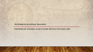TECHNIQUES OFANIMAL TRACKING
PREPARED BY QANDEEL ALAM COURSE INSTRUCTOR GGDC NSR
 