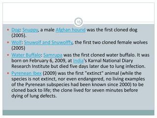 15
 Dog: Snuppy, a male Afghan hound was the first cloned dog
(2005).
 Wolf: Snuwolf and Snuwolffy, the first two cloned female wolves
(2005)
 Water Buffalo: Samrupa was the first cloned water buffalo. It was
born on February 6, 2009, at India's Karnal National Diary
Research Institute but died five days later due to lung infection.
 Pyrenean Ibex (2009) was the first "extinct" animal (while the
species is not extinct, nor even endangered, no living examples
of the Pyrenean subspecies had been known since 2000) to be
cloned back to life; the clone lived for seven minutes before
dying of lung defects.
 