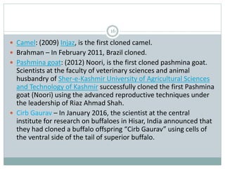 16
 Camel: (2009) Injaz, is the first cloned camel.
 Brahman – In February 2011, Brazil cloned.
 Pashmina goat: (2012) Noori, is the first cloned pashmina goat.
Scientists at the faculty of veterinary sciences and animal
husbandry of Sher-e-Kashmir University of Agricultural Sciences
and Technology of Kashmir successfully cloned the first Pashmina
goat (Noori) using the advanced reproductive techniques under
the leadership of Riaz Ahmad Shah.
 Cirb Gaurav – In January 2016, the scientist at the central
institute for research on buffaloes in Hisar, India announced that
they had cloned a buffalo offspring “Cirb Gaurav” using cells of
the ventral side of the tail of superior buffalo.
 