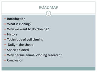 ROADMAP
 Introduction
 What is cloning?
 Why we want to do cloning?
 History
 Technique of cell cloning
 Dolly – the sheep
 Species cloned
 Why persue animal cloning research?
 Conclusion
2
 