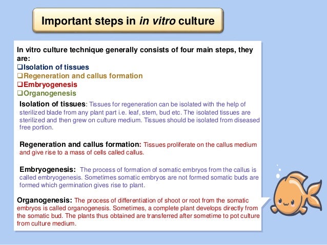 Techniques Of In Vitro Culture