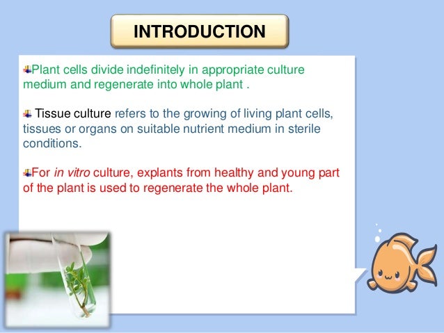 Techniques Of In Vitro Culture