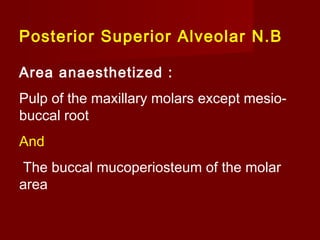 Posterior Superior Alveolar N.B
Area anaesthetized :
Pulp of the maxillary molars except mesiobuccal root
And
The buccal mucoperiosteum of the molar
area

 
