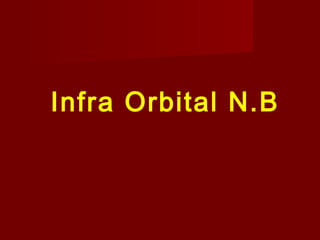 Infra Orbital N.B

 