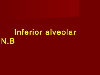 Inferior alveolar
N.B

 