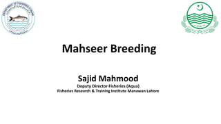 Mahseer Breeding
Sajid Mahmood
Deputy Director Fisheries (Aqua)
Fisheries Research & Training Institute Manawan Lahore
 