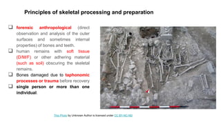 Techniques of recovery AND processing of skeletal remains.pdf