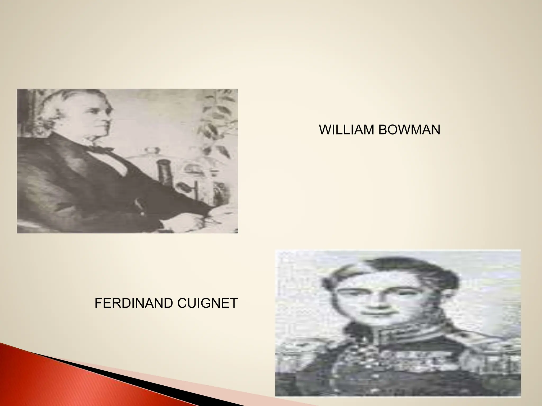 WILLIAM BOWMAN
FERDINAND CUIGNET
 
